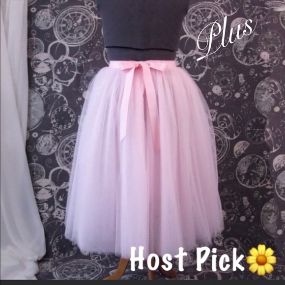 Dresses & Skirts - 🌼NWT Beautiful Plus Size Tulle Skirt!